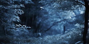 夜里清风离开究竟是哪首歌？