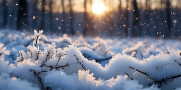 抓住冬雪的尾巴究竟是哪首歌？