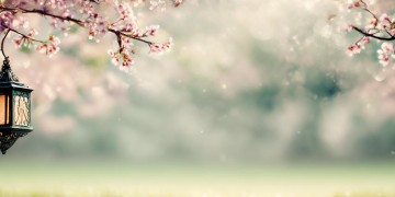 与君歌13集何时更新？