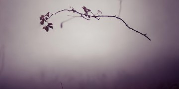 失落啊究竟是哪首歌的歌词？