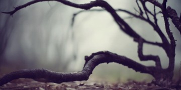 恐惧是彻底的虚妄出自哪首歌？