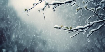 雨加雪有点冷到底是什么歌？