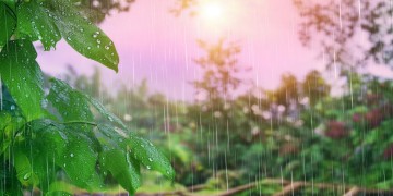 夏天下不完的雨究竟是哪首歌？