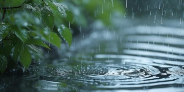雨里风吹呀吹到底是哪首歌？