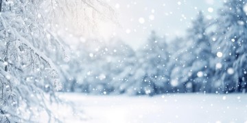 有哪些歌词后面带雪字的歌？