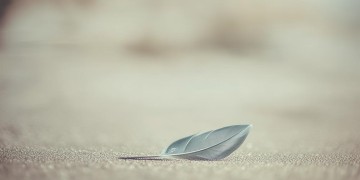 让自己跌入尘埃究竟是哪首歌？