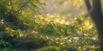 有哪些叫崽的歌曲呢？