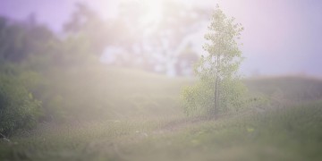 没有翅膀就好这句歌词出自哪首歌？