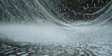 风摇雨散不知何出自什么歌？