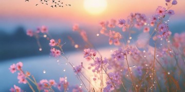 需要你我共同守护究竟是哪首歌？