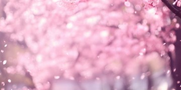 败给了突然的温暖究竟是哪首歌？