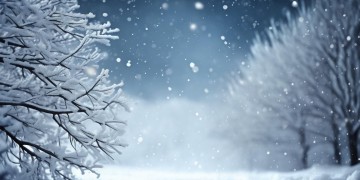 雪花依然放不下出自哪首歌？
