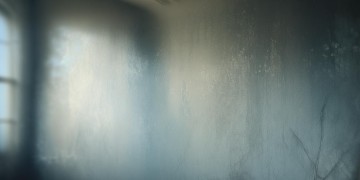 算了吧不想再装傻出自哪首歌？