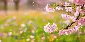 热烈拥抱这个春天究竟是哪首歌？
