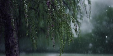 风雨叙悲情究竟是哪首歌？