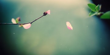 人生不过一霎间究竟出自哪首歌？