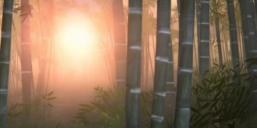 中文歌被唱成韩文歌叫什么？