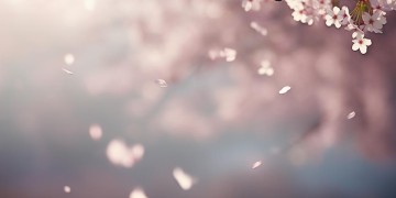 就算一无所有也不会回头出自哪首歌？