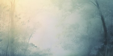 无爱伤大雅出自哪首歌？