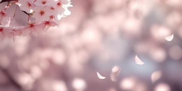 爱你什么点模样这句歌词出自哪首歌？