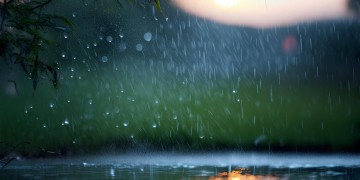 风里啊雨里啊出自什么歌？