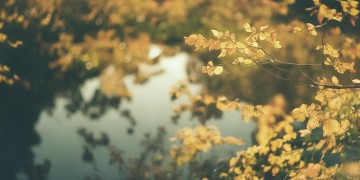 能双手拥抱这句歌词出自哪首粤语歌？