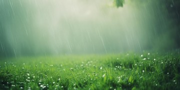 我的所有风里雨里是哪首歌？