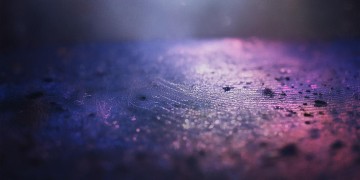 我的选择永不退缩究竟是哪首歌？