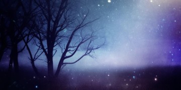 漫长的黑夜又孤寂出自哪首歌？