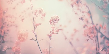 偏偏喜欢你爱你没道理究竟是什么歌？