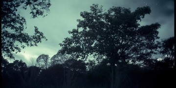 致黑夜中的呜咽究竟是哪首歌？