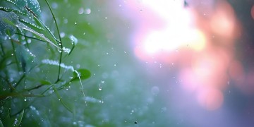 雨后的风是什么颜色的会是怎样一首歌？