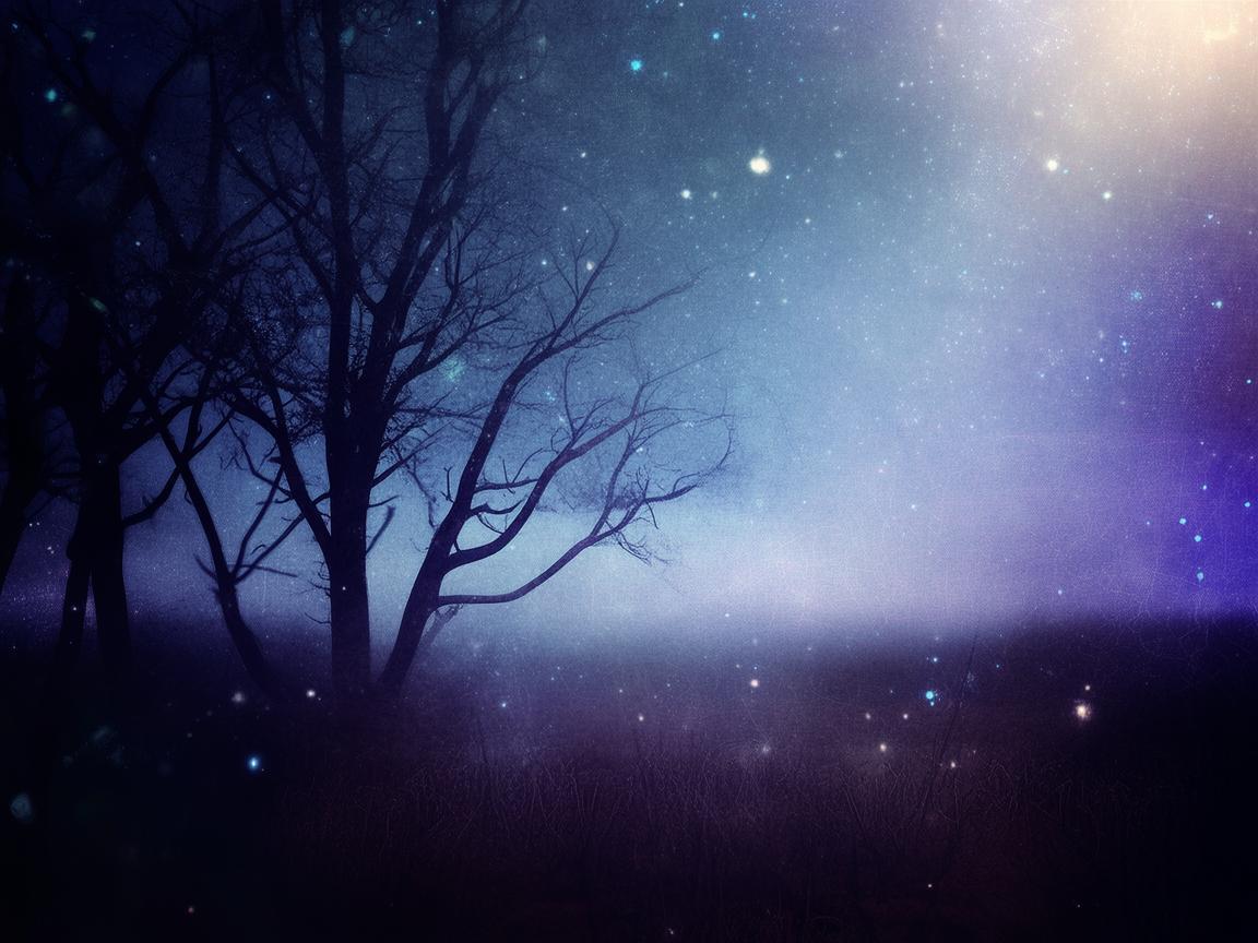 漫长的黑夜又孤寂出自哪首歌？